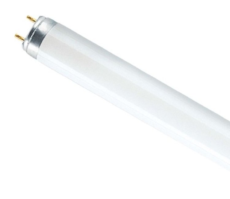 OSRAM лампа L 18 W/765 (SM)