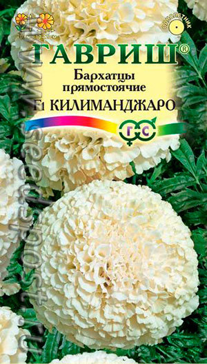 Семена цветов Бархатцы "Килиманджаро" 10 шт