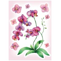Декоретто FI 4004 Акварельная орхидея